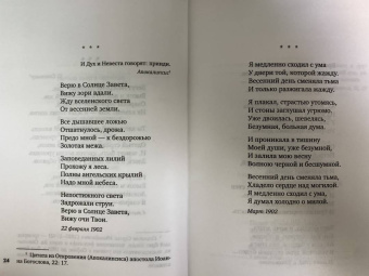 Александр Блок: Незнакомка. Стихотворения, поэма