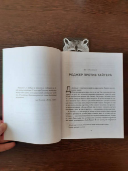 Дэвид Эпштейн: Универсалы. Как талантливые дилетанты становятся победителями по жизни