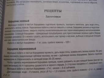 Вишневский, Замятина: Готовим из дикоросов. Травы