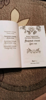 Гаврилова, Жильцова: Академия стихий. Книга 2. Душа огня