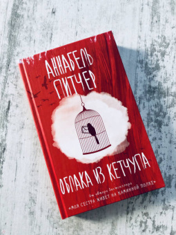 Аннабель Питчер: Облака из кетчупа