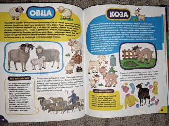 Анна Забирова: Животные для самых маленьких