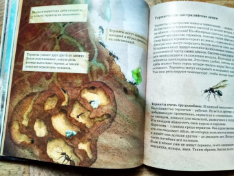 Ли Лефебуре: К далеким равнинам
