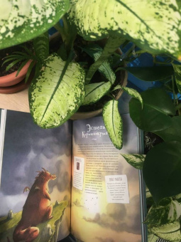 Лоранс Кюблер: Большая книга драконов и других фантастических существ