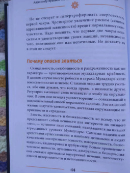 Александр Ярышев: Все, что вам надо знать о чакрах. Активация, функции и методики работы