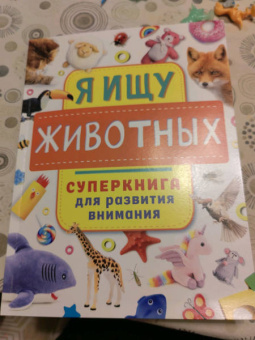 Ольга Звонцова: Я ищу животных