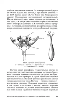 Александр Ступин: Семеноведение. Учебное пособие. СПО