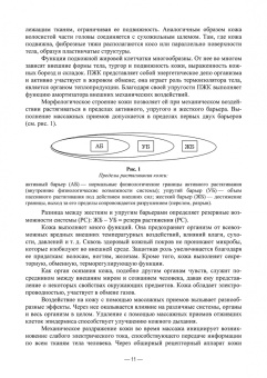 Макарова, Филина, Ягодина: Основы реабилитации. Медицинский массаж. Учебное пособие