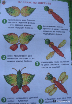 Лыкова, Грушина: Бабочки-красавицы