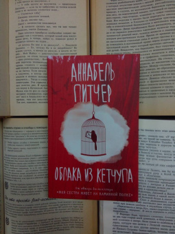 Аннабель Питчер: Облака из кетчупа