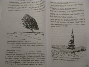 Тристан Гули: Компас внутри. Как не заблудиться в лесу, выследить животных, предсказать погоду
