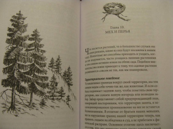 Петер Вольлебен: Тайные знаки природы. Как стать погодным детективом и читать приметы