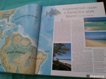 Лучшие места мира для дайвинга
