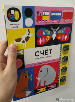 Айно-Майя Метсола: Счет