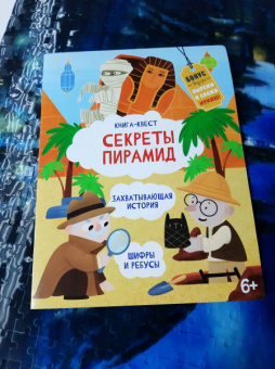 Анастасия Шепелевич: Книга-квест. Сектреты Пирамид