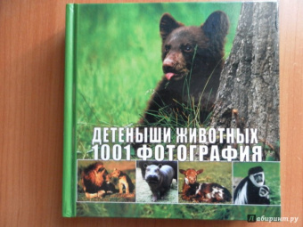 Детеныши животных. 1001 фотография