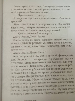 Дэвид Алмонд: Галчиное лето