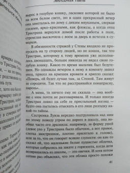 Нил Гейман: Звездная пыль