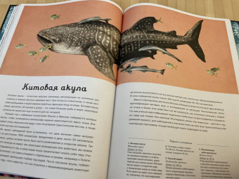 Лавдэй Триник: Океанариум