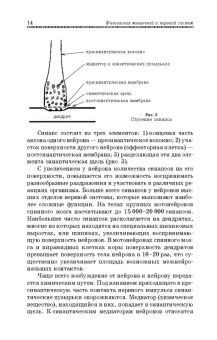 Медведев, Завалишина, Кутафина: Физиология мышечной и нервной систем. Учебное пособие