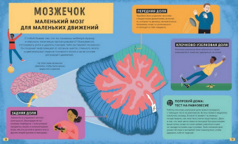 Тим Кеннингтон: Его величество мозг. Все самое интересное о работе мозга людей, животных и роботов