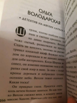 Устинова, Литвинова, Литвинов: Лучший друг детектива
