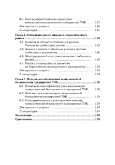 Земсков, Лебедева: Экономическая безопасность и бизнес-риски предприятий топливно-энергетического комплекса