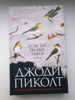 Джоди Пиколт: Если бы ты был здесь
