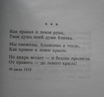 Марина Цветаева: Попытка ревности