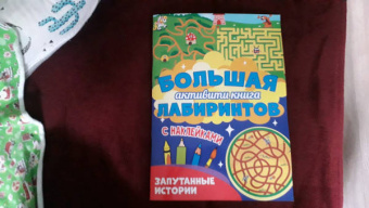 Большая активити книга лабиринтов