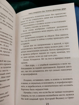 Милена Завойчинская: Отель потерянных душ. Книга вторая. Госпожа проводница эфира
