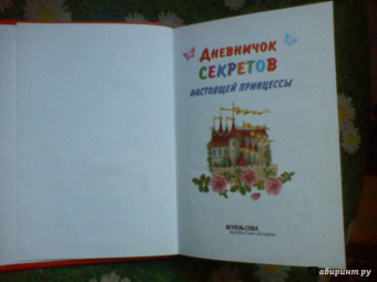 Дневничок секретов настоящей принцессы