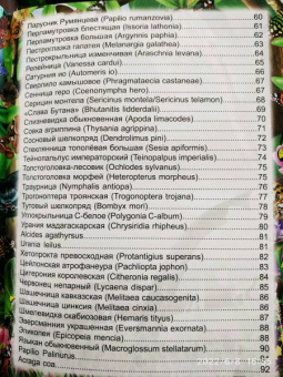 Людмила Соколова: Энциклопедия. Бабочки