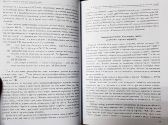 Алпатов, Аркадьев, Апресян: Грани Естественного Языка и Кинесики. Юбилейный сборник в честь Г. Е. Крейдлина