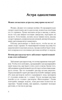 Галина Кизима: Красивый цветник. Ответы на главные вопросы