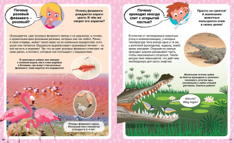Кэти Франко: Почему? 100 вопросов и ответов в картинках