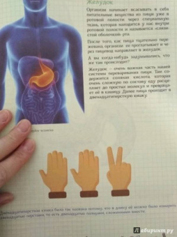 Ольга Соколова: Как устроен человек и зачем ему врачи?