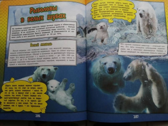 Ликсо, Кошевар: О подводном мире