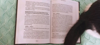 Ольга Корбут: Сила луны. Как использовать лунную энергию в магической работе