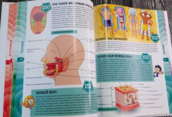 Тамара Скиба: Первая энциклопедия для мальчиков и девочек. 300 вопросов - 300 ответов