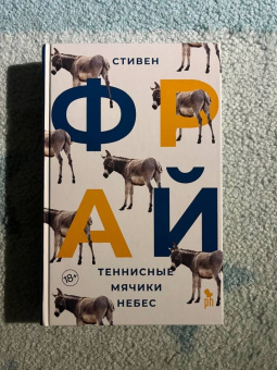 Стивен Фрай: Теннисные мячики небес