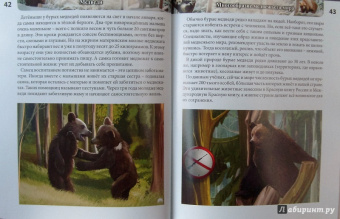 Ярослава Соколова: Хочу знать. Медведи