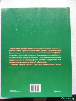 Авдеева, Алейникова, Андрианова: Биохимия. Учебник