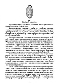 Латыпов, Тимербаева, Кириллов: Паразитарные болезни плотоядных животных. Учебное пособие для вузов