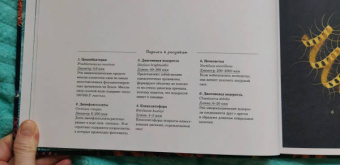 Лавдэй Триник: Океанариум