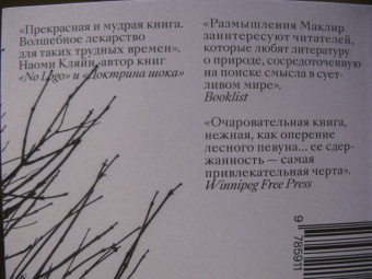 Кио Маклир: Птицы, искусство, жизнь. Год наблюдений