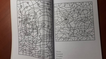 Василий Почкин: Раскраска по номерам. Посчитай цвета