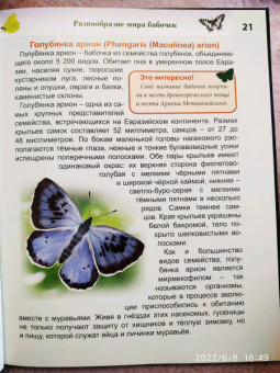 Людмила Соколова: Энциклопедия. Бабочки