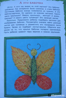 Лыкова, Грушина: Бабочки-красавицы
