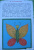 Лыкова, Грушина: Бабочки-красавицы